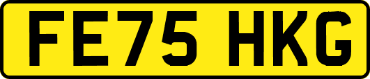 FE75HKG