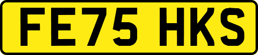 FE75HKS