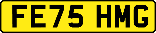 FE75HMG