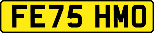 FE75HMO