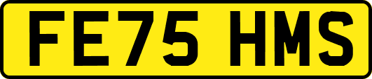 FE75HMS