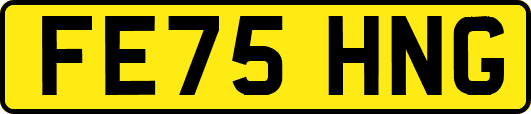 FE75HNG
