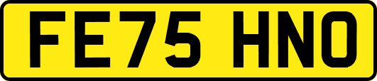 FE75HNO