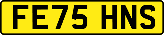 FE75HNS