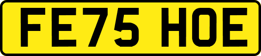 FE75HOE