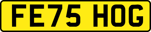 FE75HOG