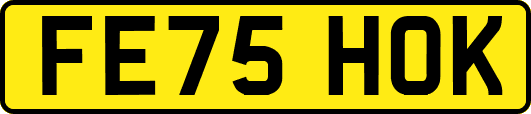 FE75HOK
