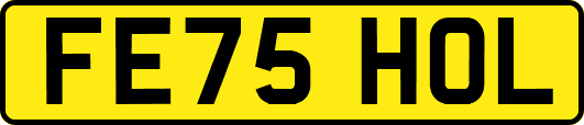 FE75HOL