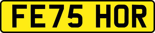 FE75HOR