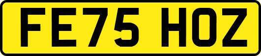 FE75HOZ