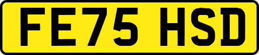 FE75HSD