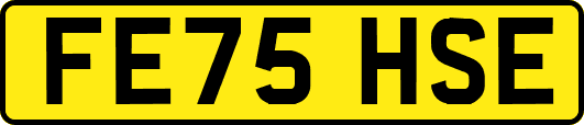 FE75HSE