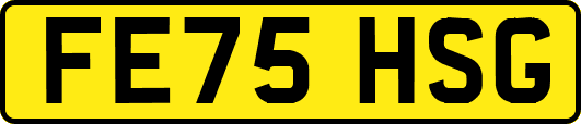 FE75HSG