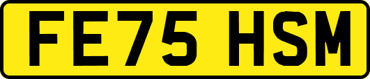 FE75HSM