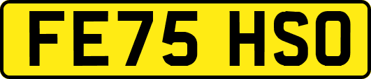 FE75HSO