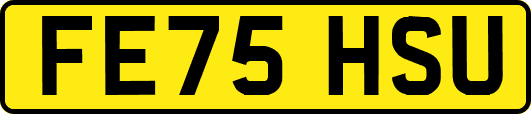 FE75HSU