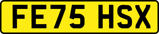 FE75HSX