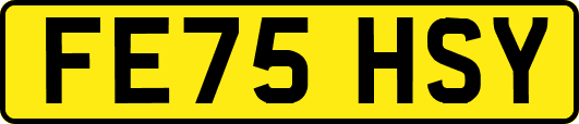 FE75HSY