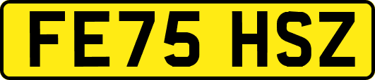 FE75HSZ