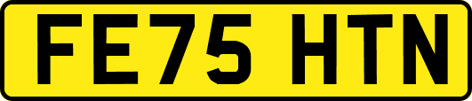 FE75HTN