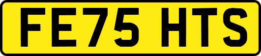 FE75HTS