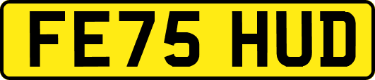 FE75HUD