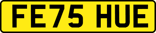 FE75HUE