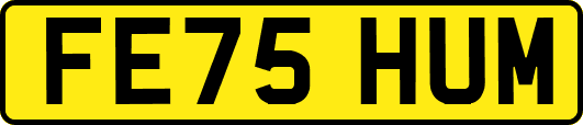 FE75HUM