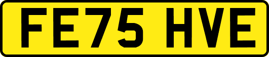 FE75HVE