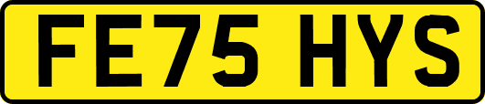 FE75HYS