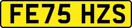 FE75HZS