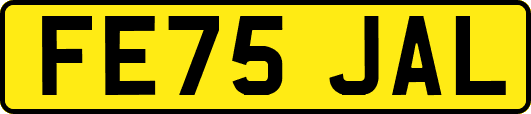 FE75JAL