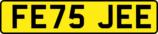 FE75JEE