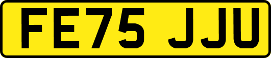 FE75JJU