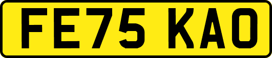 FE75KAO
