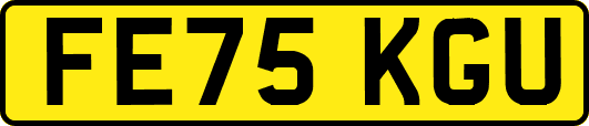 FE75KGU