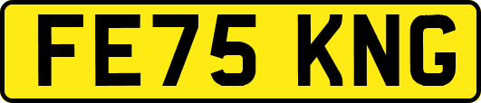 FE75KNG