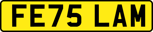 FE75LAM