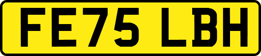 FE75LBH