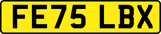 FE75LBX