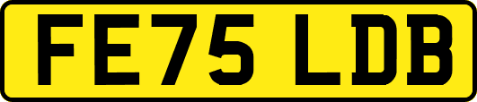 FE75LDB
