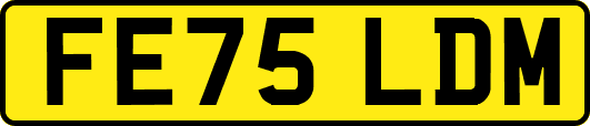 FE75LDM