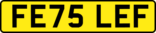 FE75LEF