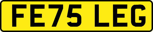 FE75LEG