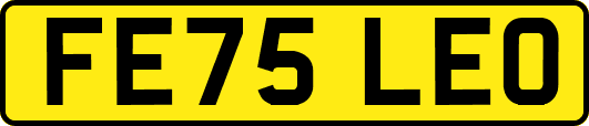 FE75LEO