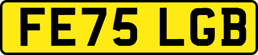 FE75LGB