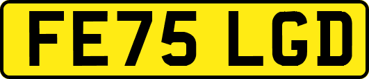 FE75LGD