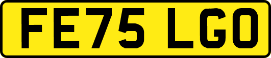 FE75LGO
