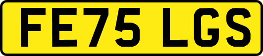 FE75LGS