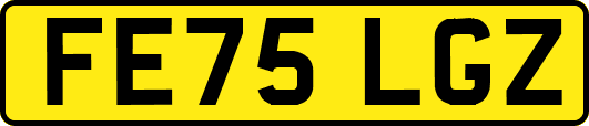 FE75LGZ